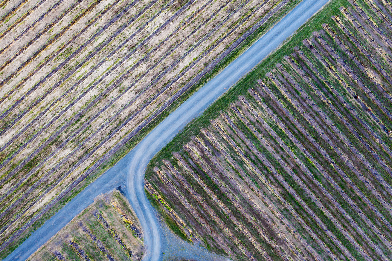 Aerial-Photographers-Napa-Vally