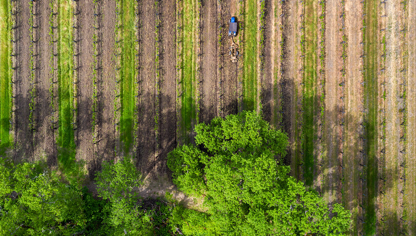 Aerial-Photography-of-Blue-Quail-Winery