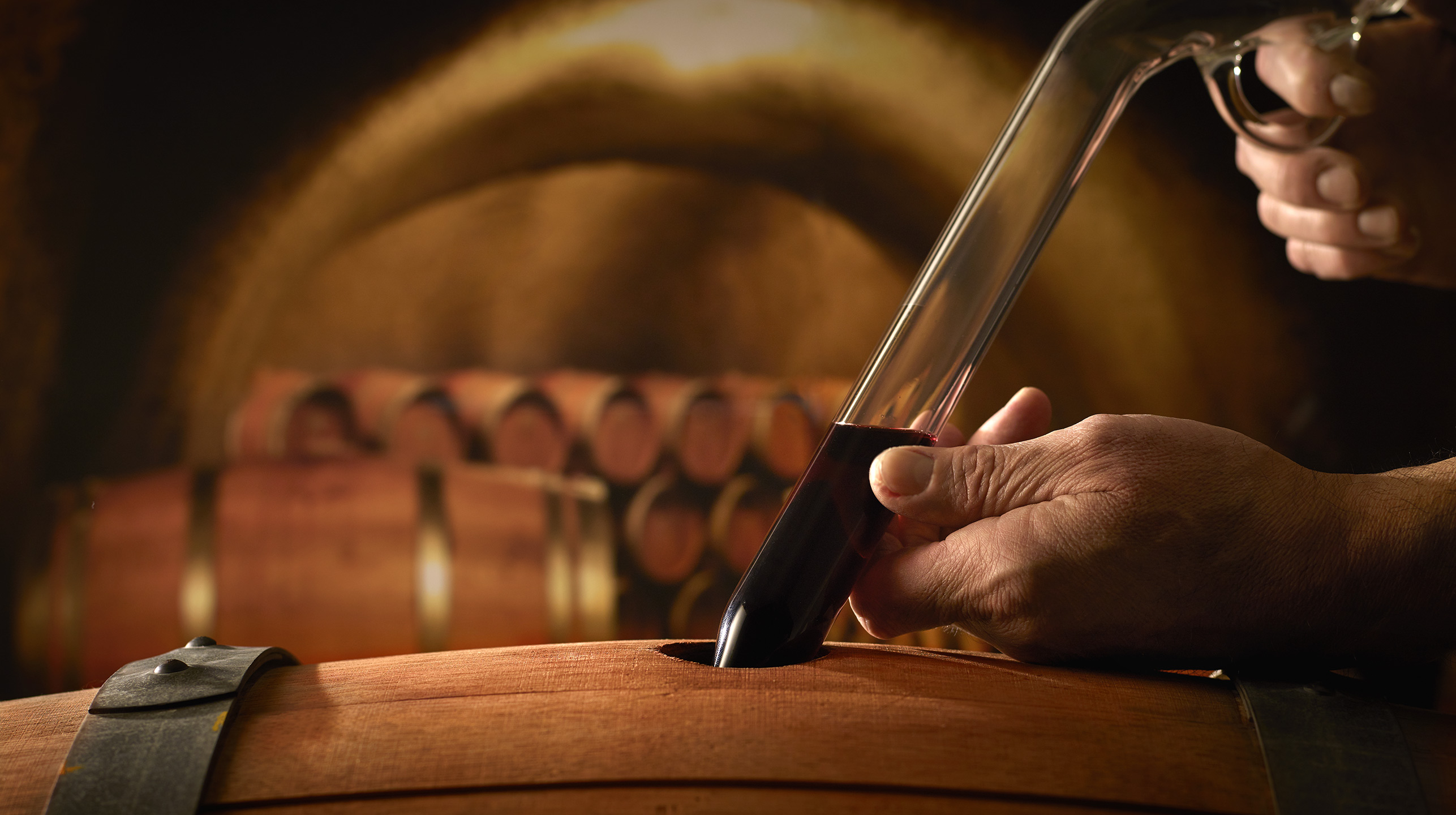Mark Herold Wines Photography by Brandon McGanty